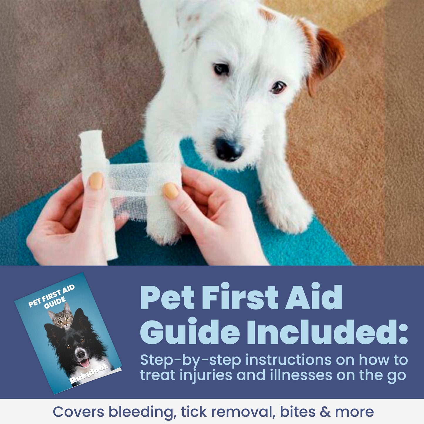 Person bandaging a dog's paw on a blue mat; pet first aid guide shown below.