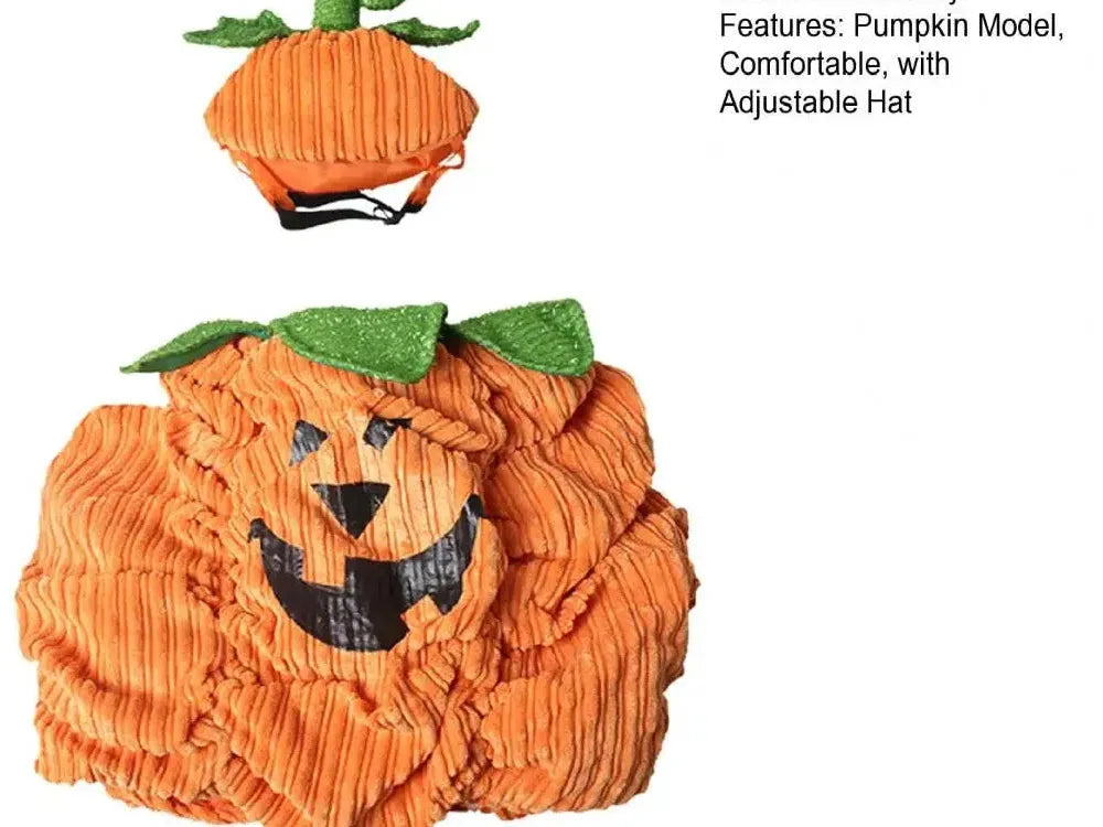 Traditional Pumpkin Costume – Cute Halloween Outfit for Small Pets
