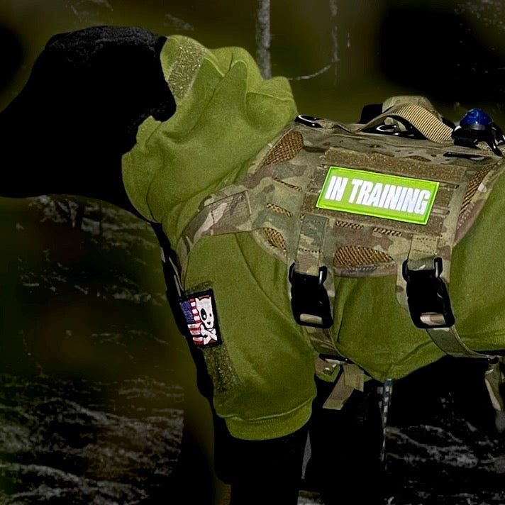 Dog in green vest with "In Training" patch, camo harness, and dark background.