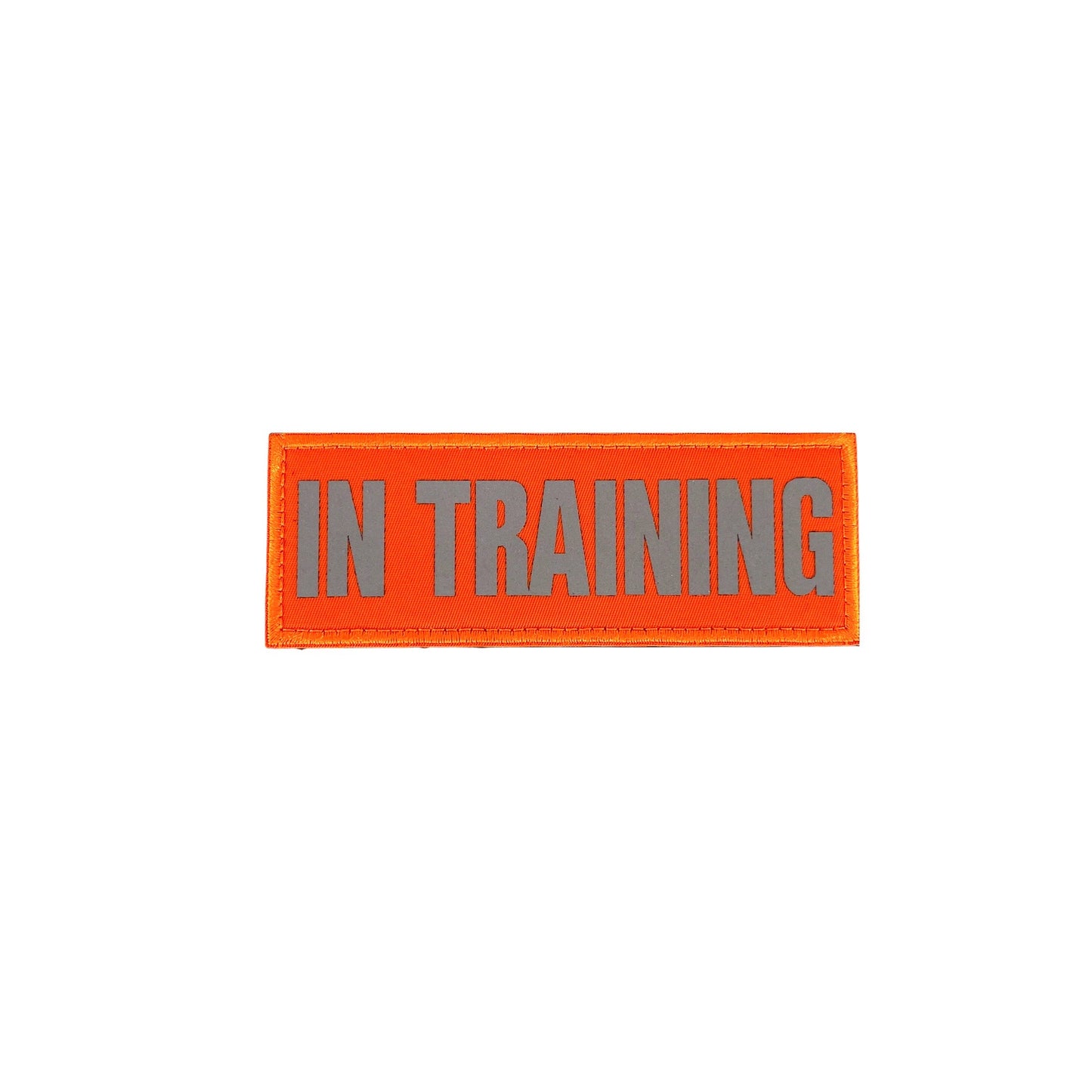 Orange patch with gray "IN TRAINING" text, rectangular shape on a white background.