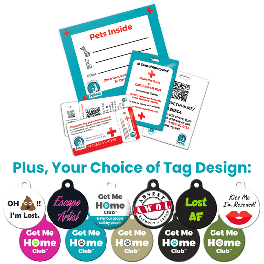 Pet emergency cards and colorful ID tags with various playful designs and text options.