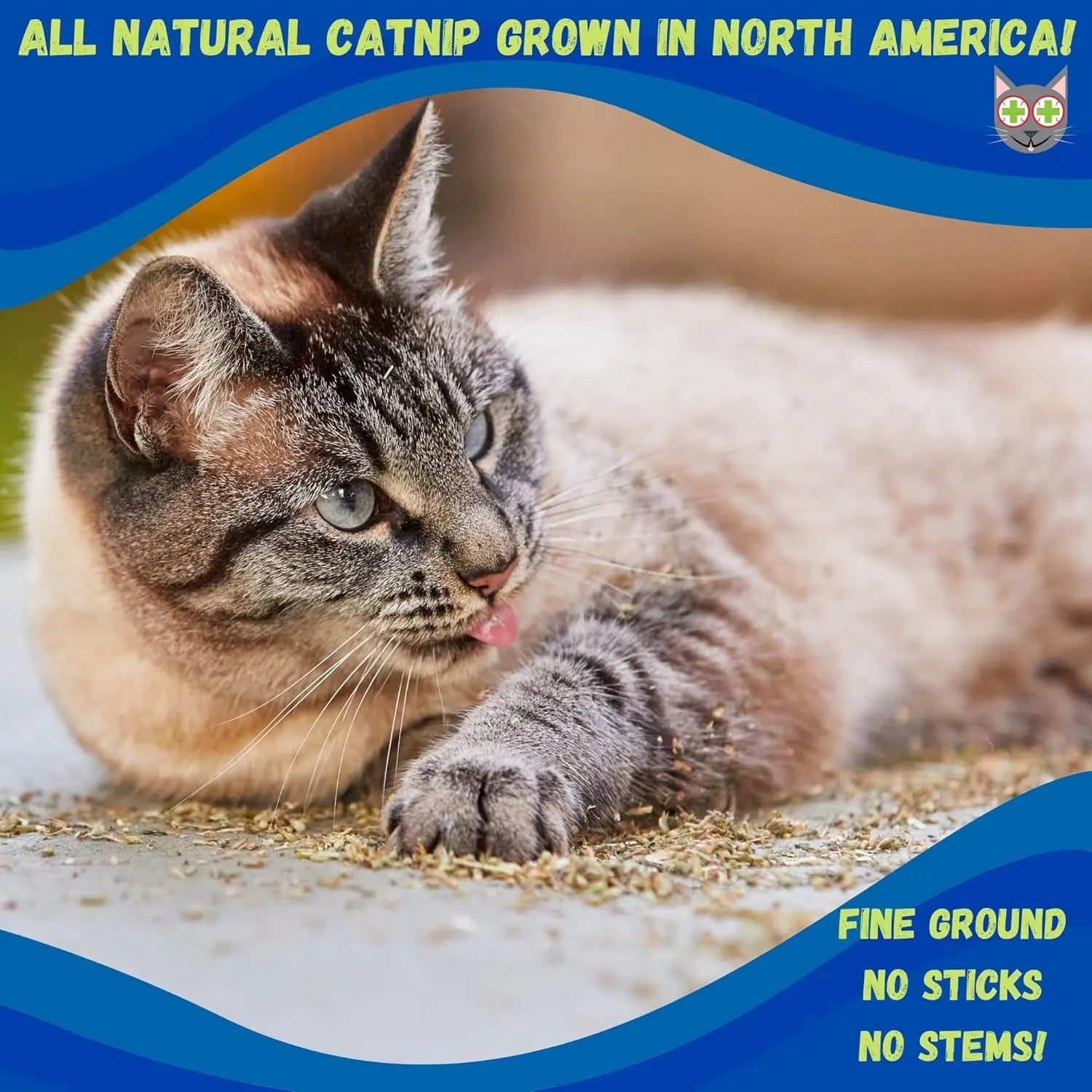 Cat enjoying catnip on the ground, with blue and yellow text promoting natural catnip.
