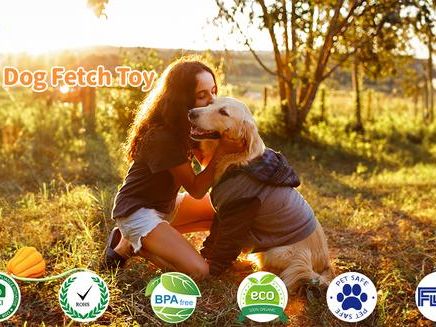 Dog Rope Fetch Exercise Toy – Indestructible Tug & Fetch Toy for Aggressive Chewers