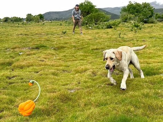Dog Rope Fetch Exercise Toy – Indestructible Tug & Fetch Toy for Aggressive Chewers