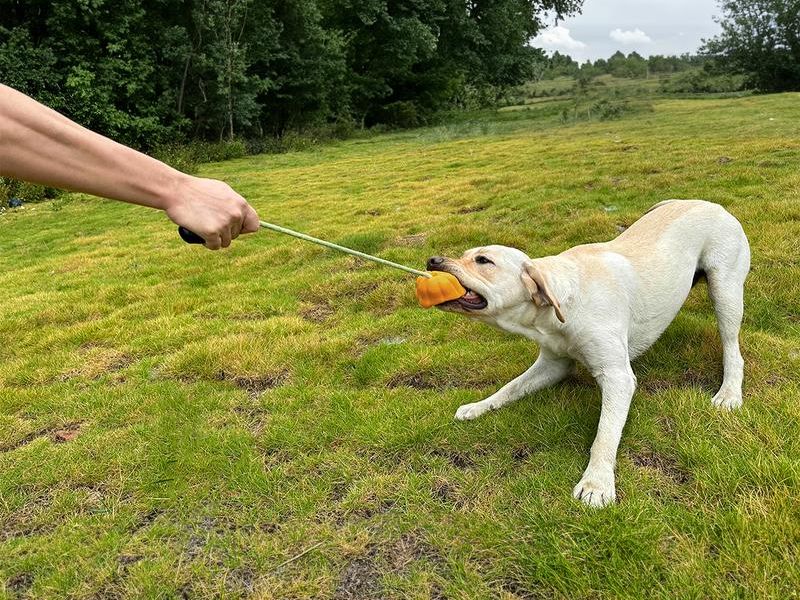 Dog Rope Fetch Exercise Toy – Indestructible Tug & Fetch Toy for Aggressive Chewers