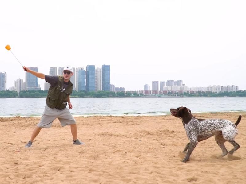 Dog Rope Fetch Exercise Toy – Indestructible Tug & Fetch Toy for Aggressive Chewers