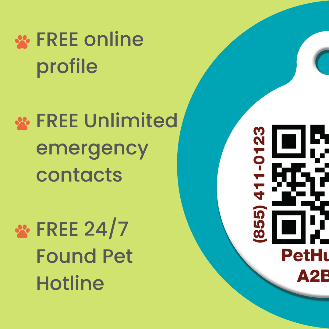 Pet tag with QR code, hotline number, and text on lime and teal background with paw icons.