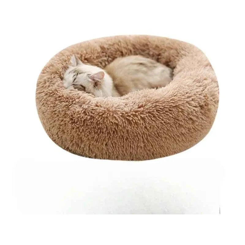 Fluffy cat sleeping in a round, soft, brown pet bed on a white background.