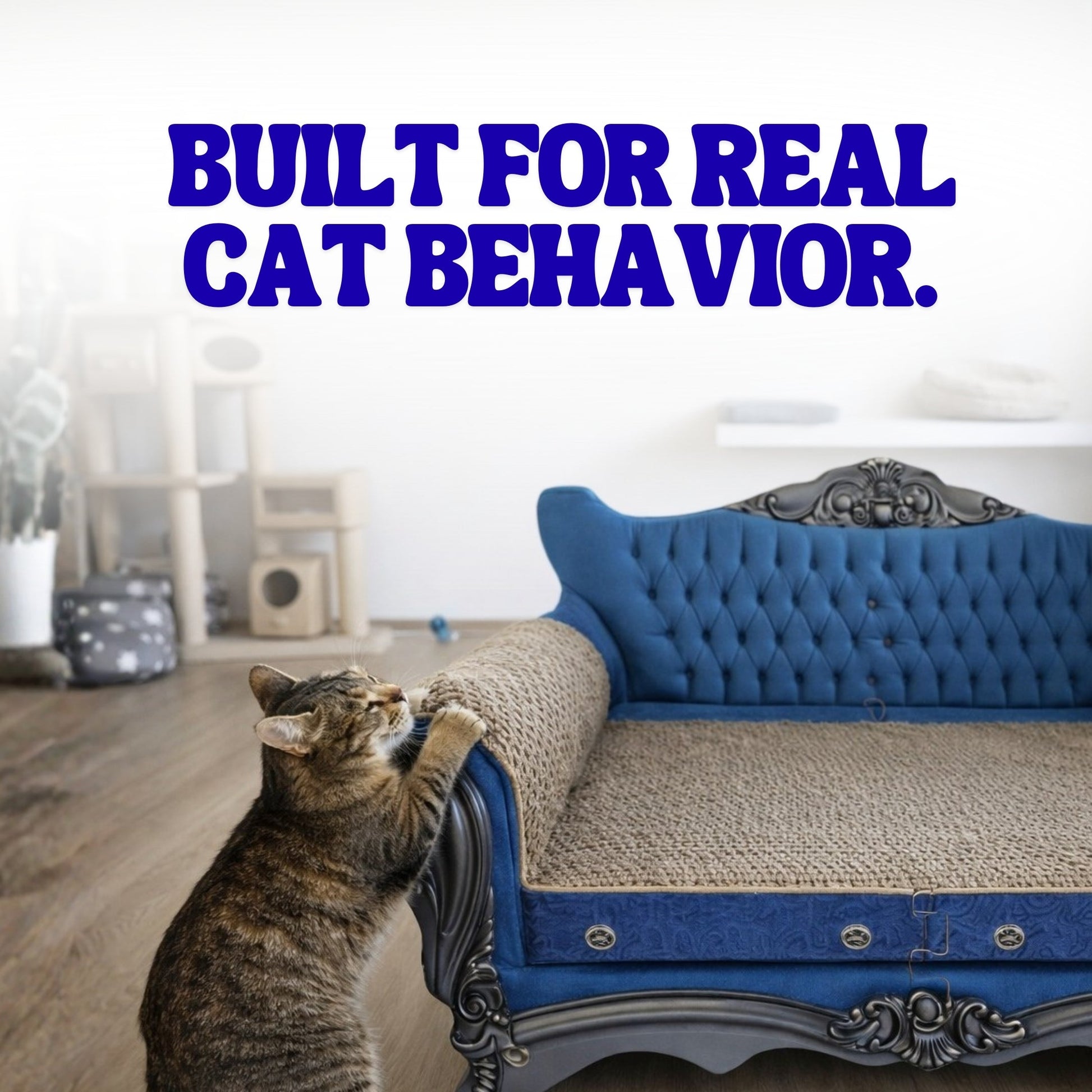 Cat scratching a blue tufted sofa with a textured armrest, text above reads "Built for Real Cat Behavior."