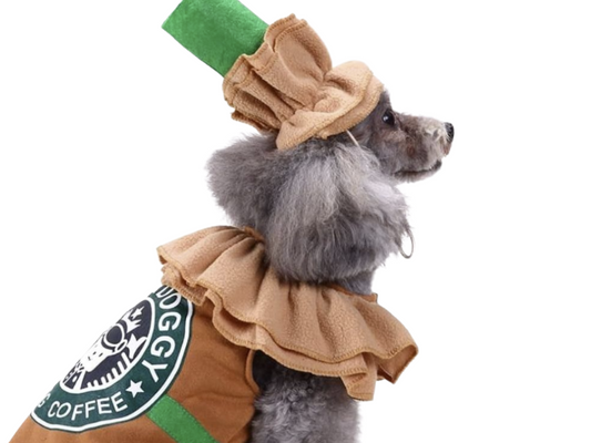 Pup-uccino Wardrobe – Coffee-Themed Barkista Style Outfit
