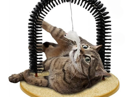 Feline Arch Self-Groomer Deluxe – Cat Shedding & Grooming Tool
