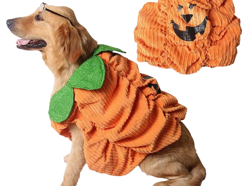 Traditional Pumpkin Costume – Cute Halloween Outfit for Small Pets