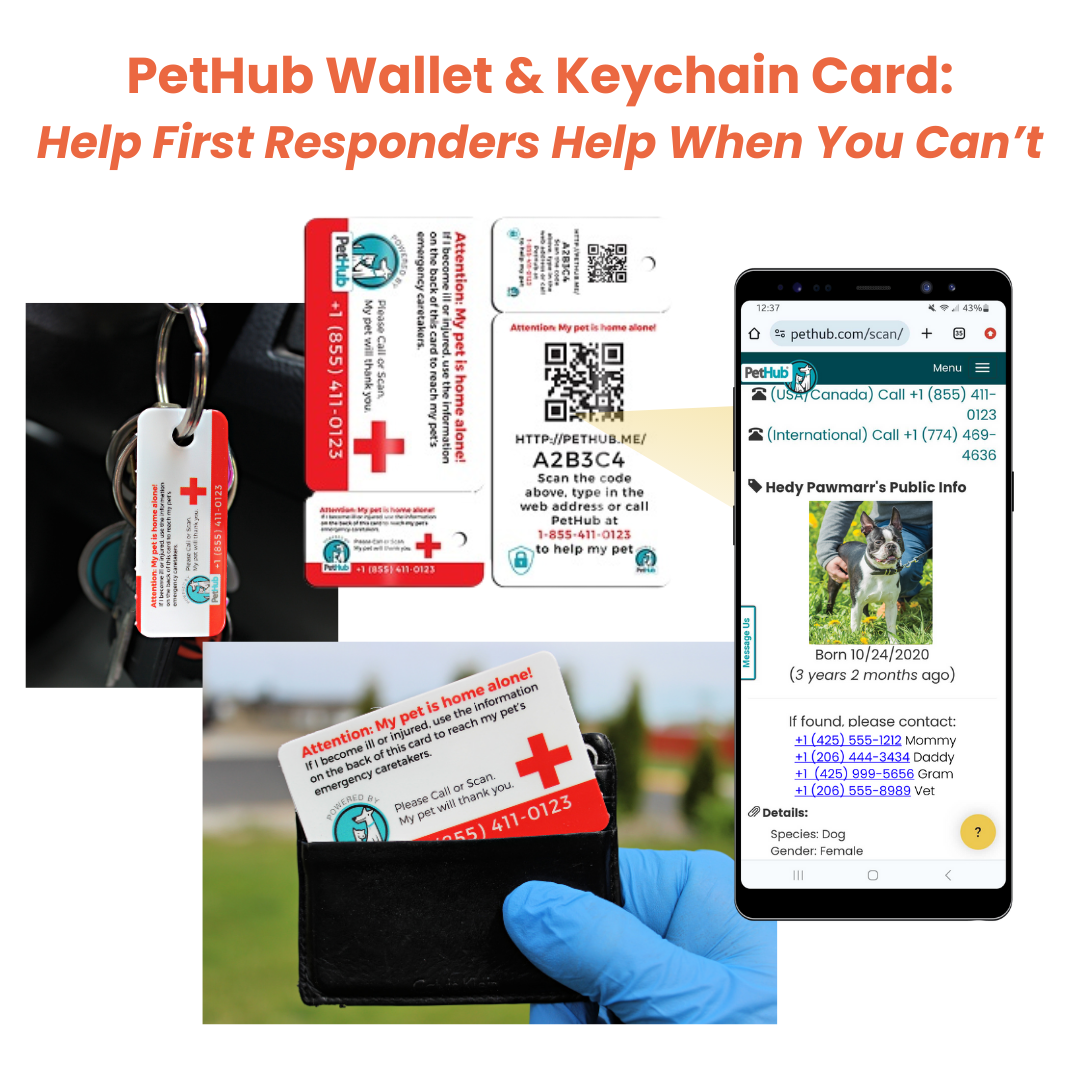 PetHub wallet card and keychain with QR code, smartphone displaying pet info, glove holding card.