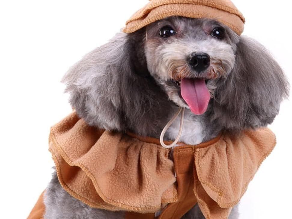 Latte Coffee Dog Costume Pet Costumes for Small Medium Dogs, Cat Outfit Dog Halloween Costume Puppy Cosplay Outfit Halloween Party Special Events