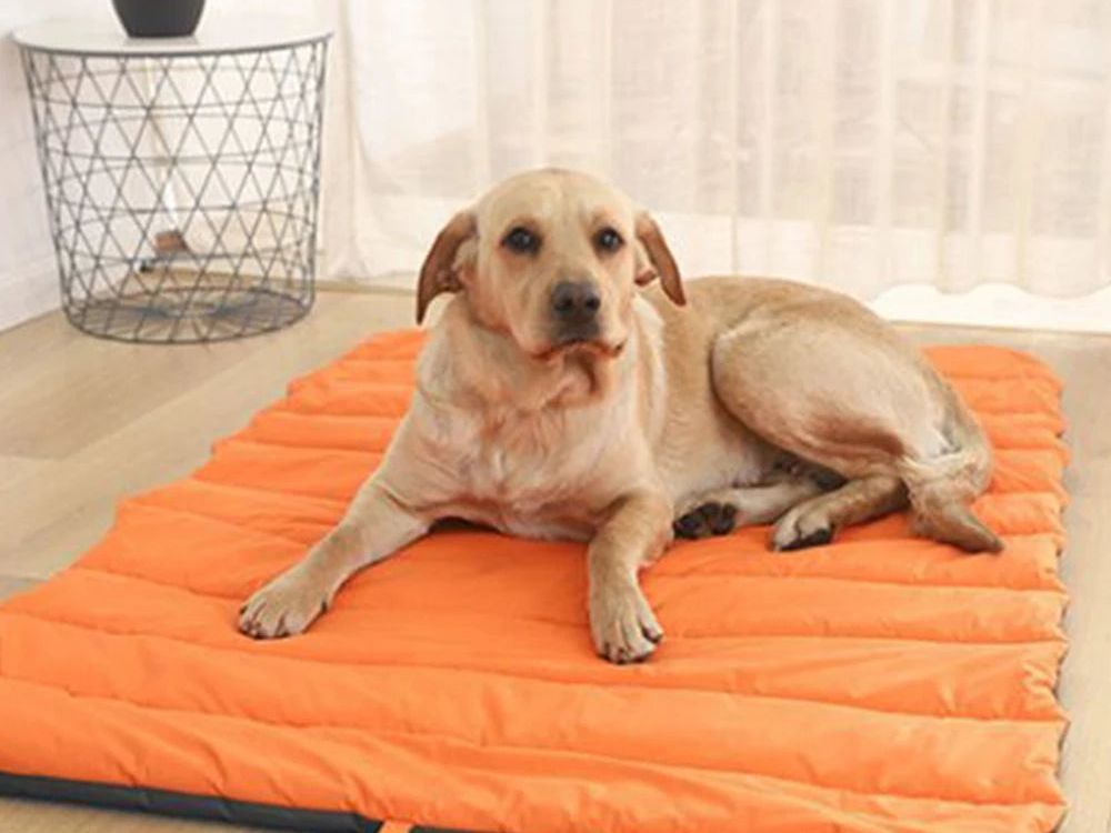 Portable Pet Mat Cat and Dog Mat Outdoor Waterproof Dog Beds for with Storage Carry Bag Outdoor Camping Easy to Clean Mat