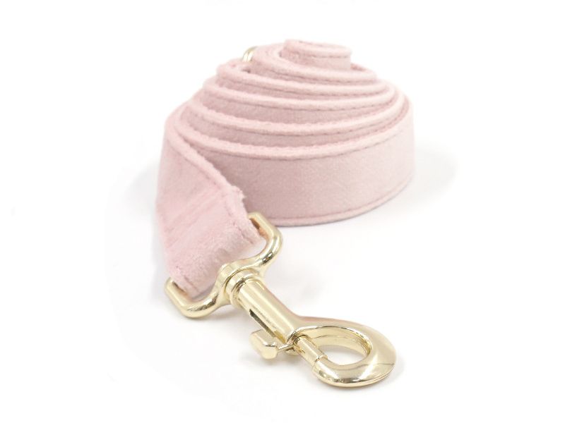 Pet Collar Towing Rope Bow Knot Outing Garbage Bag