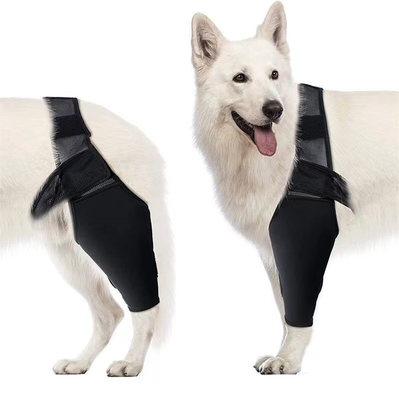 Dog Leg Support Protector, Front and Rear Leg Adjustment, Fixed Strap, Knee Brace for Injuries, Leg Protector for Dogs