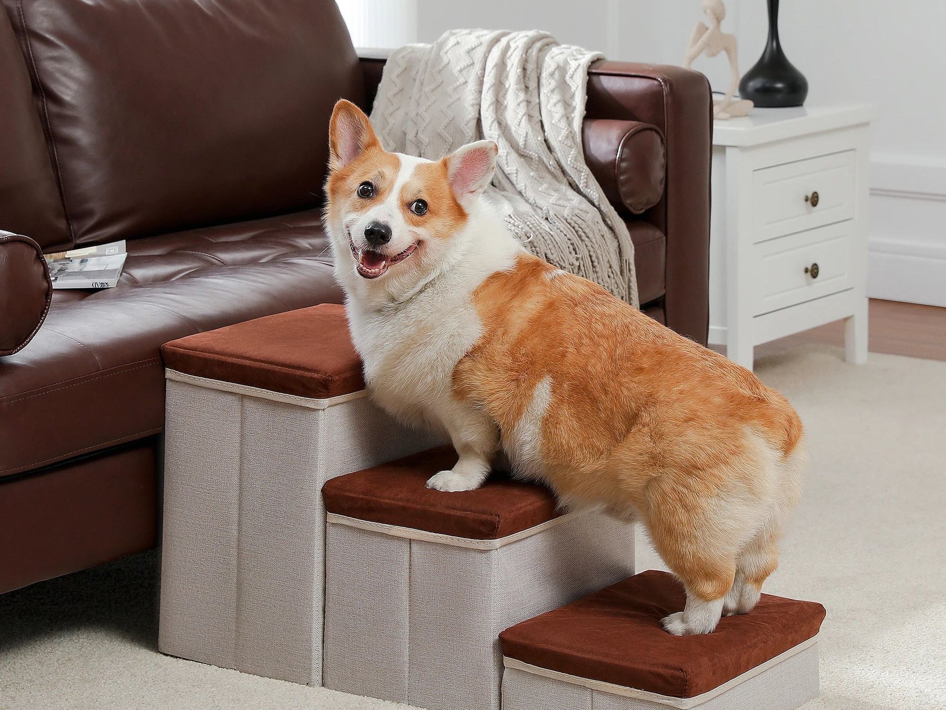 3-Tier Dog Stairs Foldable Pet Stair with Storage Box Adjustable Height Dog Steps for Small Old Dog Cat Non-Slip Pet Ramp Indoor