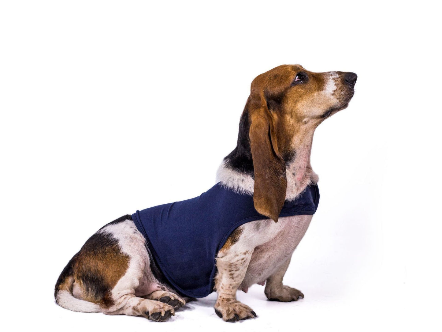 Pet Dog Anxiety Comfort Clothing