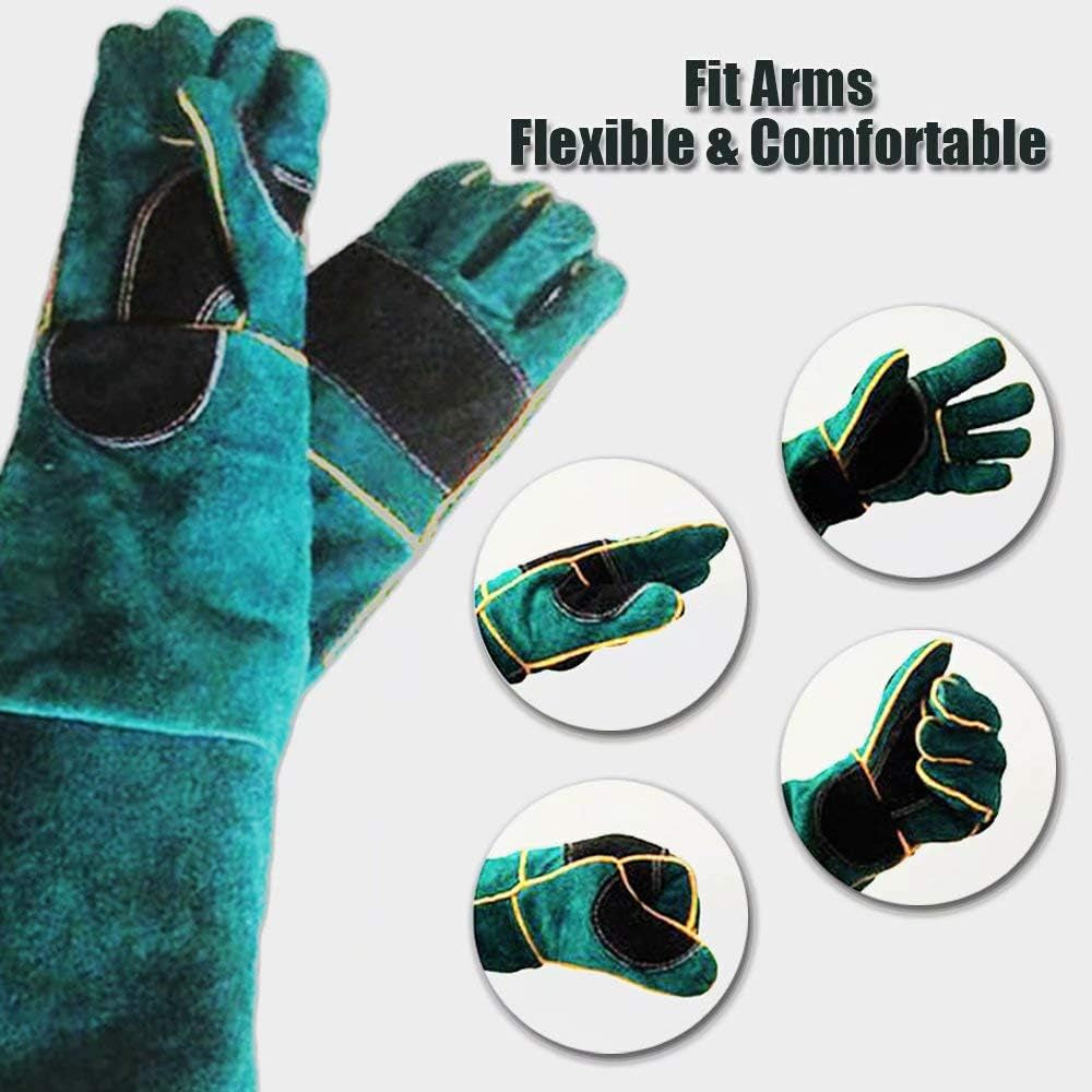 Professional Animal Handling Gloves for Protection Against Bites and Scratches - Suitable for Dogs, Cats, Birds, and Parrots (Green)