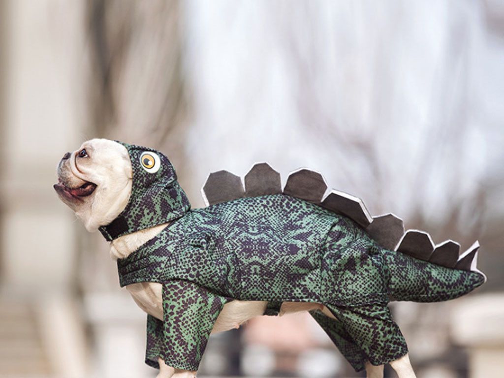 Pet Dinosaur Clothes
