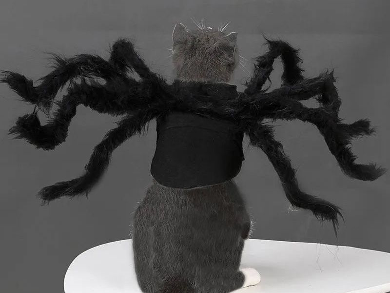 Cat Halloween Costume Cat Bat Wings - Pet Bat Costume Dress Costume Outfit Wing for Small Dogs Cats 2025 Newest Pet Halloween