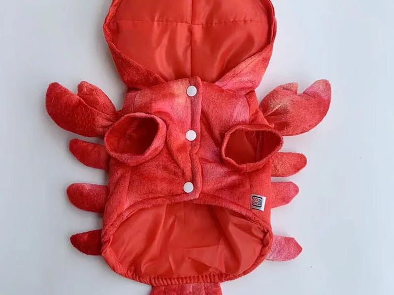Pet Lobster Clothes Dog Cat Funny Costume Unique Suit for Dogs Dress up Supplies