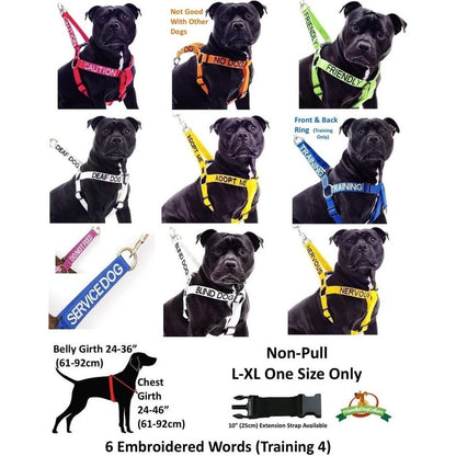 Limited Waterproof Reflective Fleece-Lined Dog Coats for Deaf Dogs - Available in Sizes S to XL, Prevents Accidents by Alerting Others (M-L Back Length 17" / 43 cm)