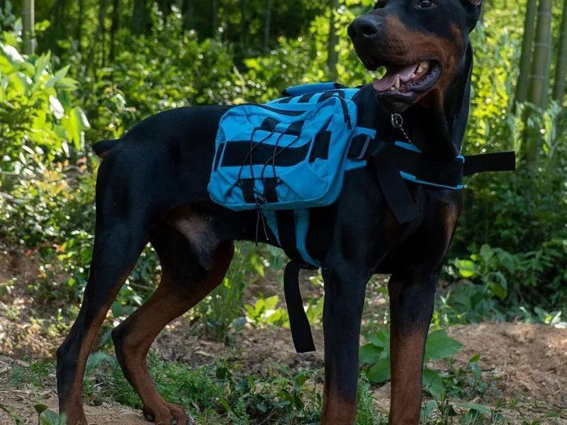 Ultimate Tactical Vest Harness for Large Dogs - Reflective, All-Season Comfort with Quick Release Closure