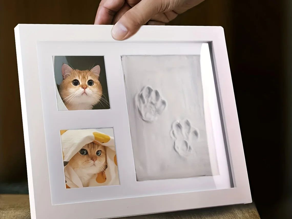 Pet Pawprint Keepsake Kit & Picture Frame