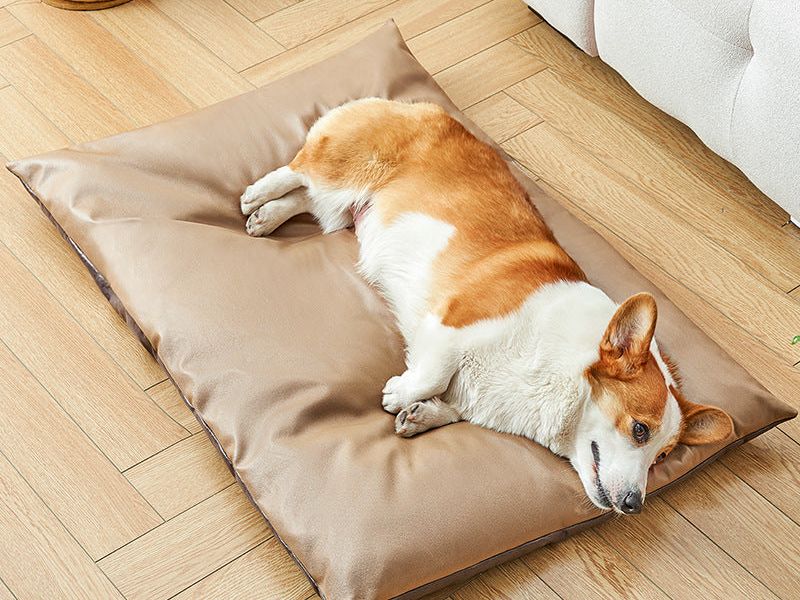 Pet Products Cool Summer Cat Nest Sleeping Mat Pet Bed, Dog Cushion Pet Nest