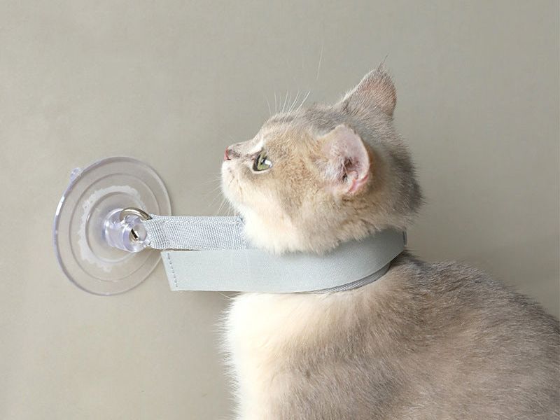 Cats Collar Bathing Fixed Suction Cup Puppy Bath Neck Collars Accessories Professional Kittens Necklaces Portable Pet Products