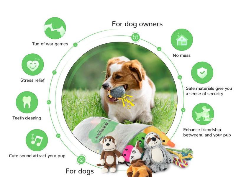 Squeaky Toys Bundle