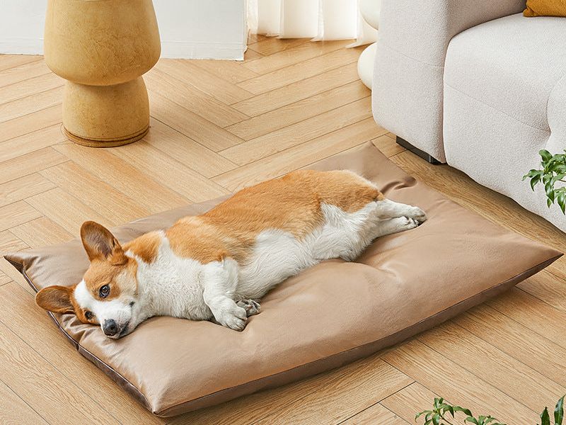 Pet Products Cool Summer Cat Nest Sleeping Mat Pet Bed, Dog Cushion Pet Nest