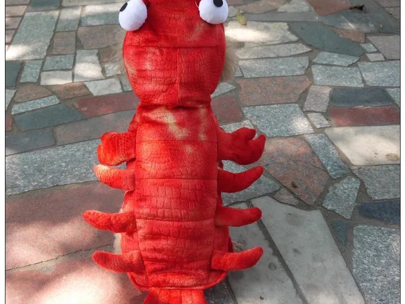 Pet Lobster Clothes Dog Cat Funny Costume Unique Suit for Dogs Dress up Supplies