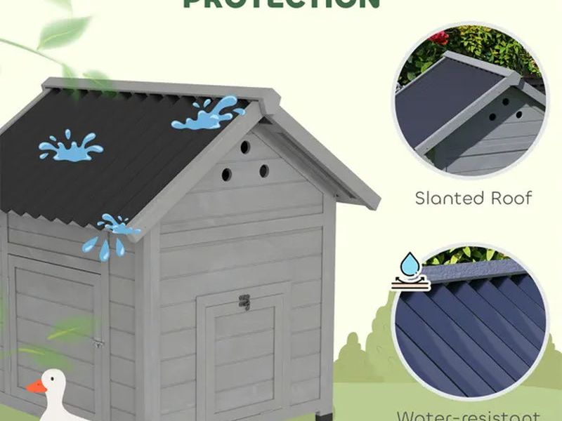 Duck House Pet House