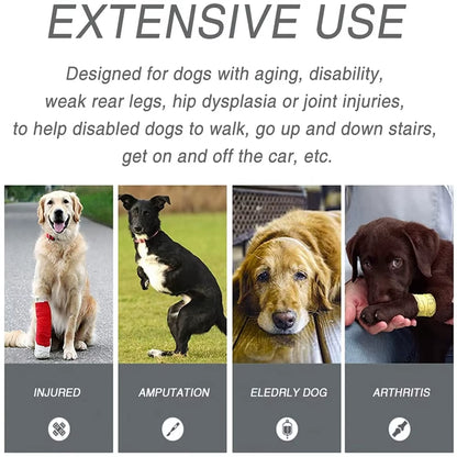 Dog Support Harness for Back & Front Legs Lift Rehabilitation Adjustable Portable for Help Weak Injured Old Disabled Dog Walking