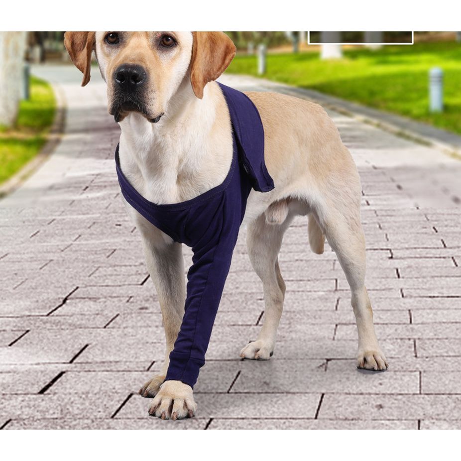 New Anti-Licking Sleeve for Postoperative Recovery of Dog Legs Pet