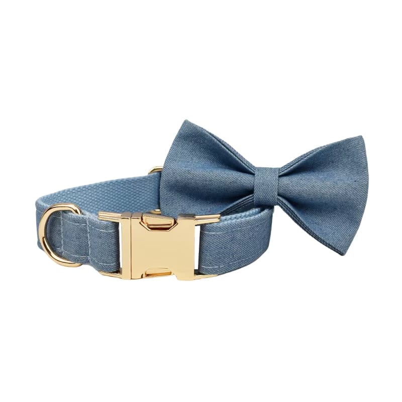 Blue dog collar with a matching bow tie and gold buckle.