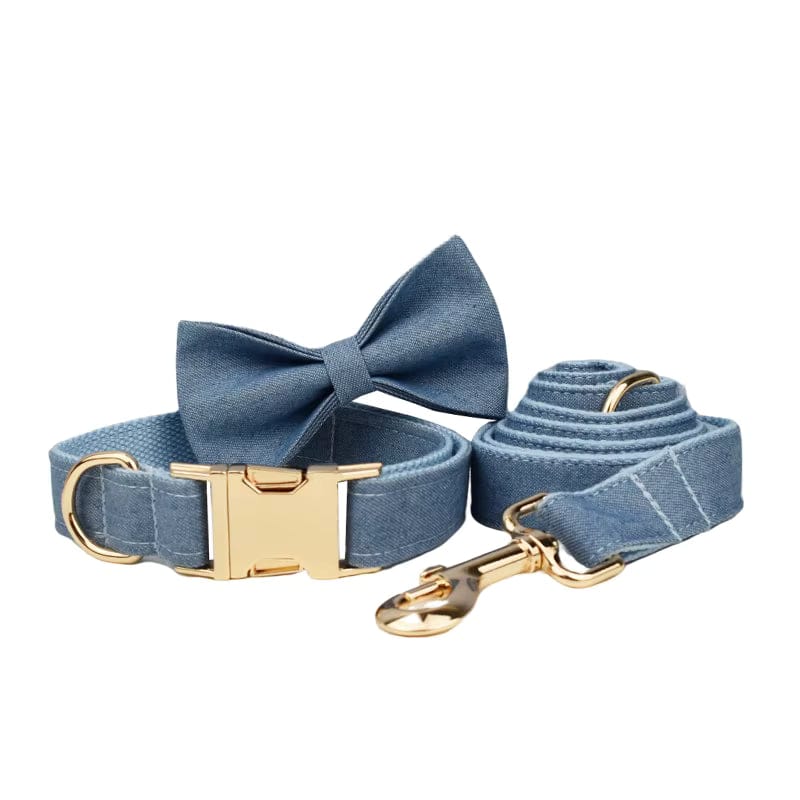 Blue dog collar with bow tie, gold buckle, and matching leash with a gold clasp.