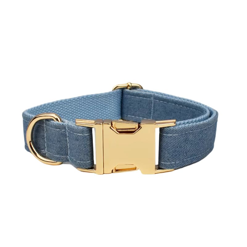 Blue fabric dog collar with a gold buckle and D-ring.