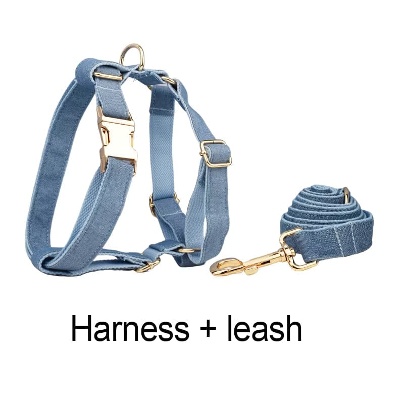 Blue denim harness and leash set with gold buckles on a white background.