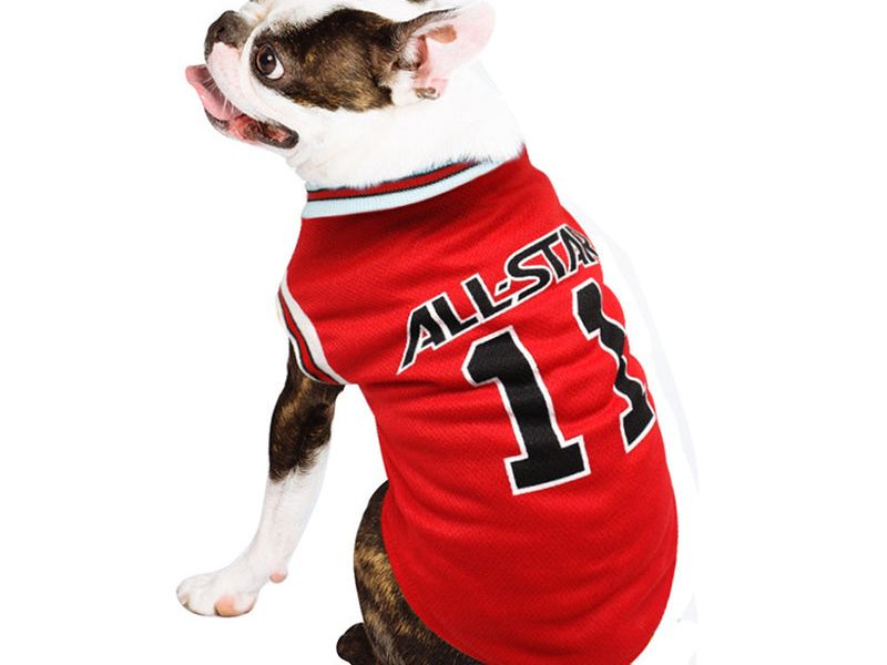 Spring and Summer Pet Dog Vest Sportswear