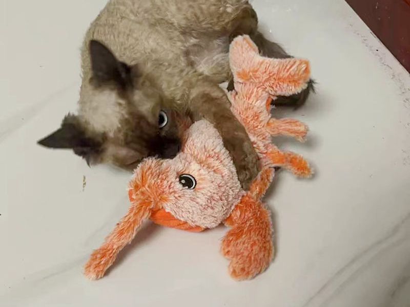 Pet Gravity Shrimp Plush USB Toy