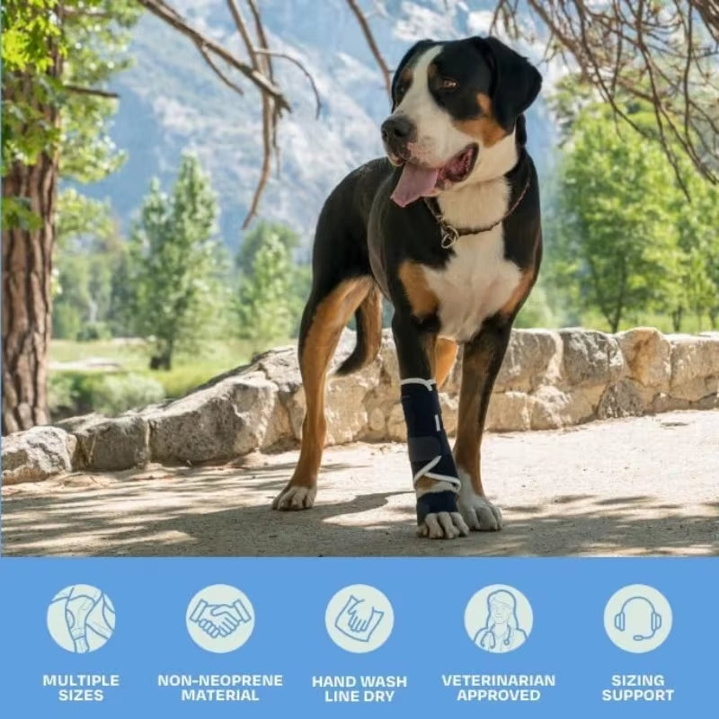 Splint Carpal Hyperextension Dog Brace ,Supports Fractures Sprains, Front Leg Support (Small Breeds) Ankle Splint Brace