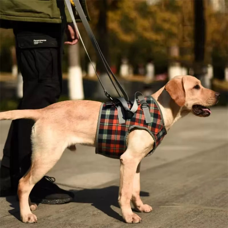 Dog Support Harness for Back & Front Legs Lift Rehabilitation Adjustable Portable for Help Weak Injured Old Disabled Dog Walking