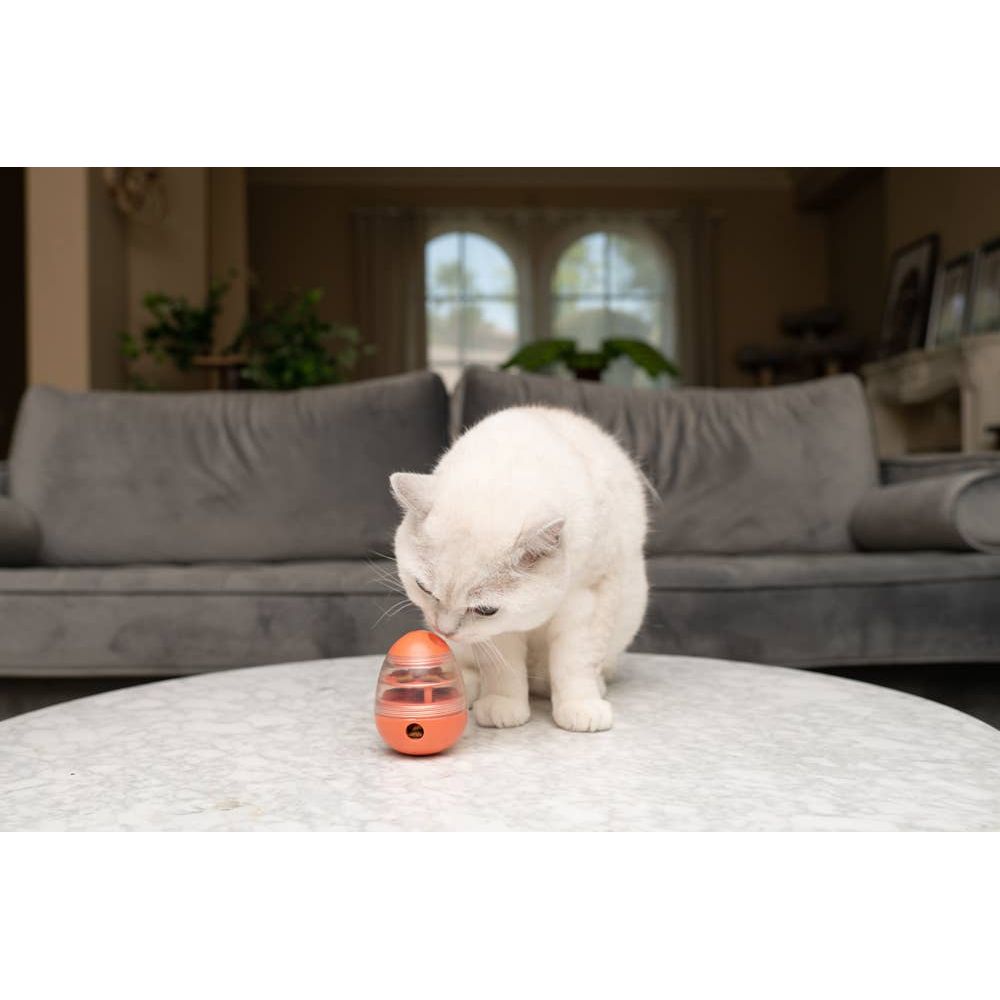 White cat sniffs orange toy on marble table, gray sofa and plants in background.