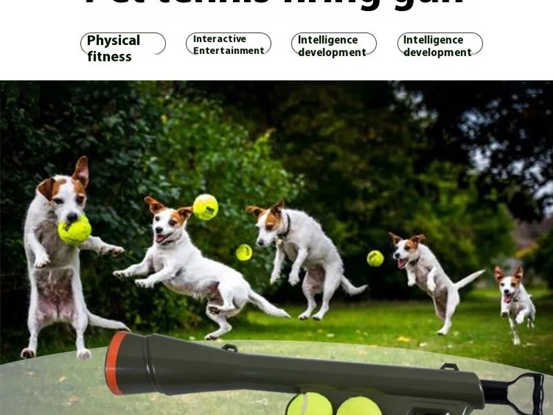 Hot Selling Pet Dog Toy Serving Gun Training Dog Throwing Ball Launcher Pet Outdoor Tennis Shooting Interactive Puzzle Toy