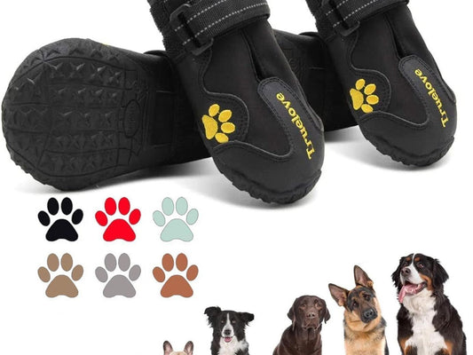 Dog Shoes for Small Dogs