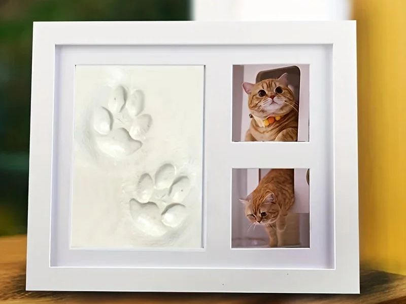 Pet Pawprint Keepsake Kit & Picture Frame